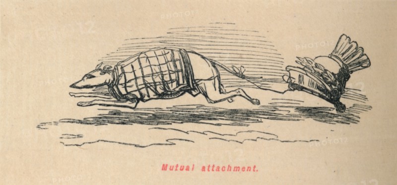 'Mutual attachment', 1852. Artist: John Leech.