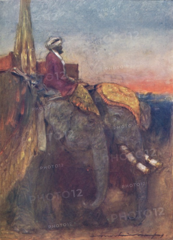 'Jaipur Elephants', 1903. Artist: Mortimer L Menpes.