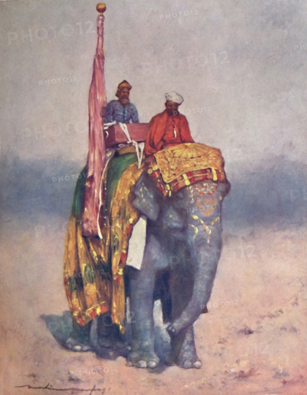 'An Elephant from the Sandy Wastes of Rajputana', 1903. Artist: Mortimer L Menpes.