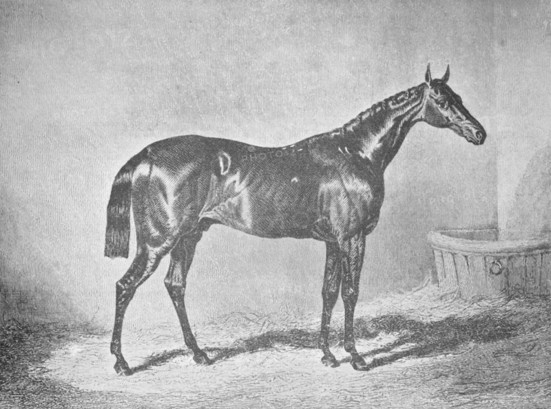 'Charles XII, Winner of the St. Leger' 1839, (1911). Artist: Unknown.
