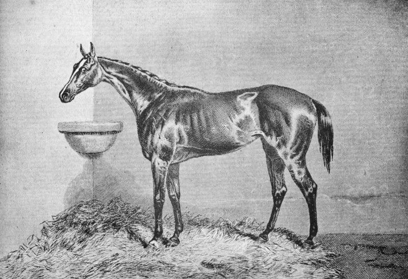 'Blink Bonny', 1854-1862, (1911). Artist: Unknown.