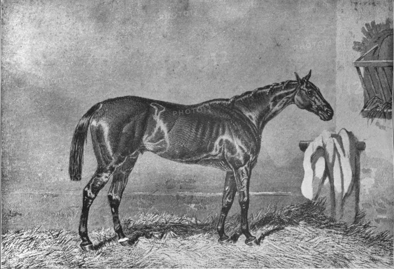 'Ellington', 1853-1870, (1911). Artist: Unknown.