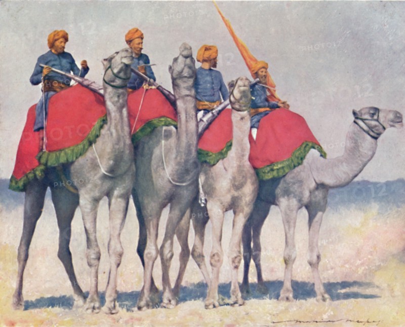 'Camelry from Alwar', 1903. Artist: Mortimer L Menpes.