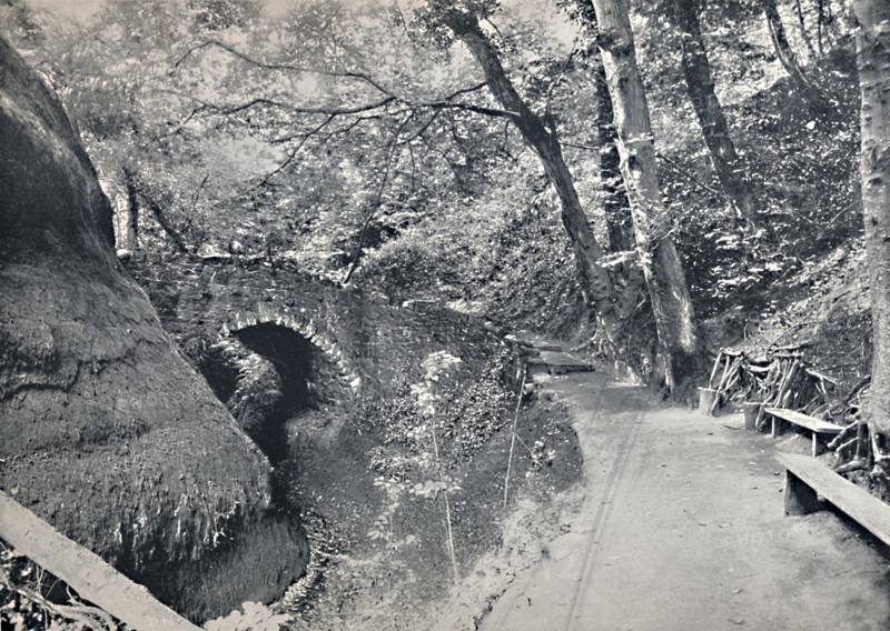 'Shanklin - The Chine', 1895. Artist: Unknown.