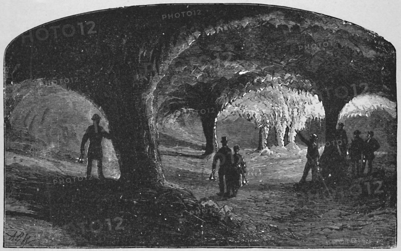 'The Church', 1883. Artist: Unknown.