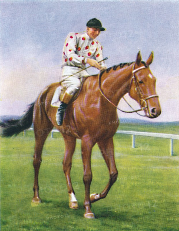 Foxbrough II, Jockey: P. Beasley', 1939. Artist: Unknown.