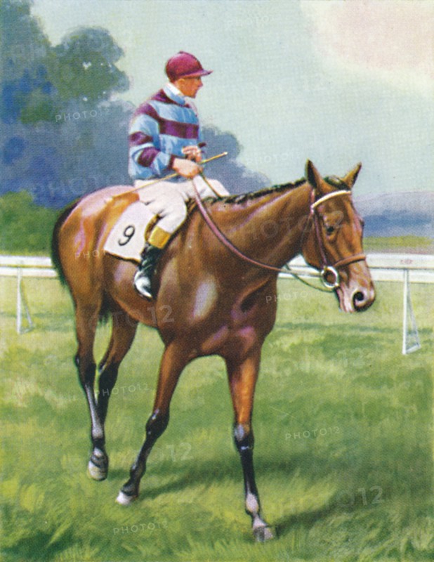 Legend of France, Jockey: A. Richardson', 1939. Artist: Unknown.