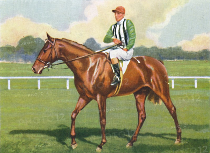 Carlisle, Jockey