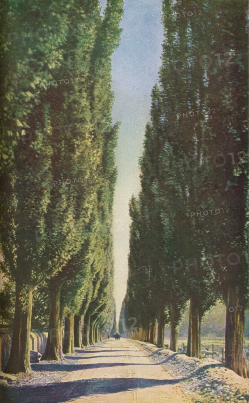 'France', c1930s. Artist: Unknown.