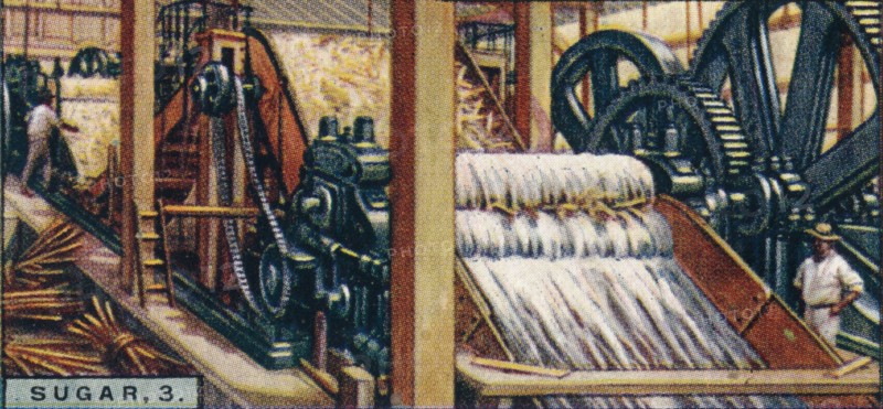 'Sugar, 3. Crushing the Canes, Java', 1928. Artist: Unknown.