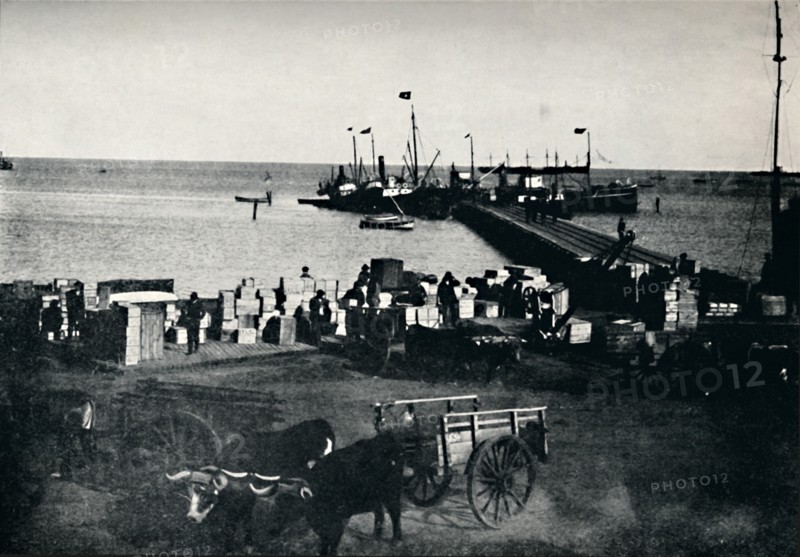 'Landing Place, Punta Arenas', 1911. Artist: Unknown.