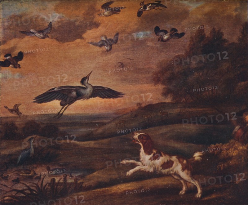'Shooting Plover', late 17th century, (1922). Artist: Francis Barlow.
