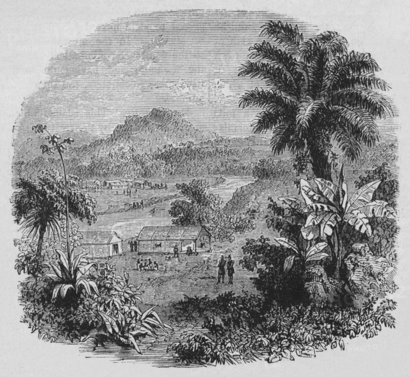 'View in Cayenne', c1880. Artist: Unknown.