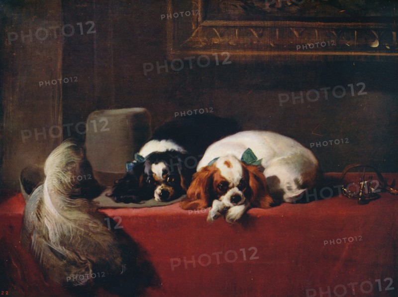 'King Charles Spaniels (?The Cavalier?s Pets?)', 1845, (c1915). Artist: Edwin Henry Landseer.