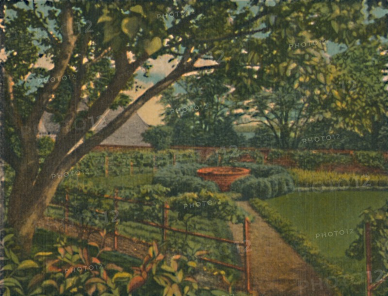 'The Kitchen Garden', 1946. Artist: Unknown.
