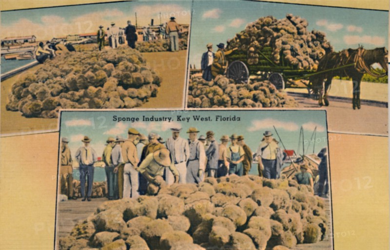 'Sponge Industry, Key West, Florida', c1940s. Artist: Unknown.