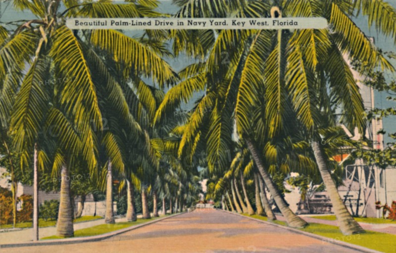 'Beautiful Palm-Lined Drive in Navy Yard, Key West, Florida', c1940s. Artist: Unknown.