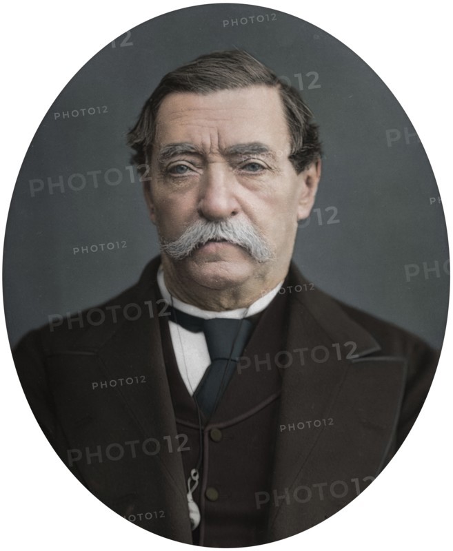 Lord Napier of Magdala, 1878. Artist: Lock & Whitfield.