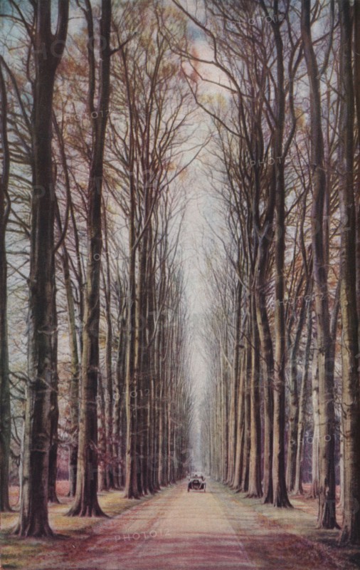 'Holland', c1930s. Artist: ENA.