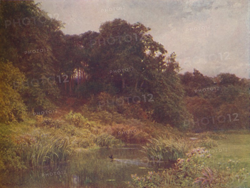 'A Brook', 1910. Artist: Harold Sutton Palmer.