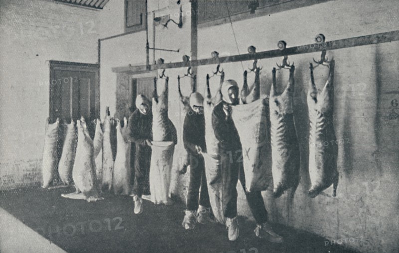 'Frozen Meat', 1910. Artist: Unknown.