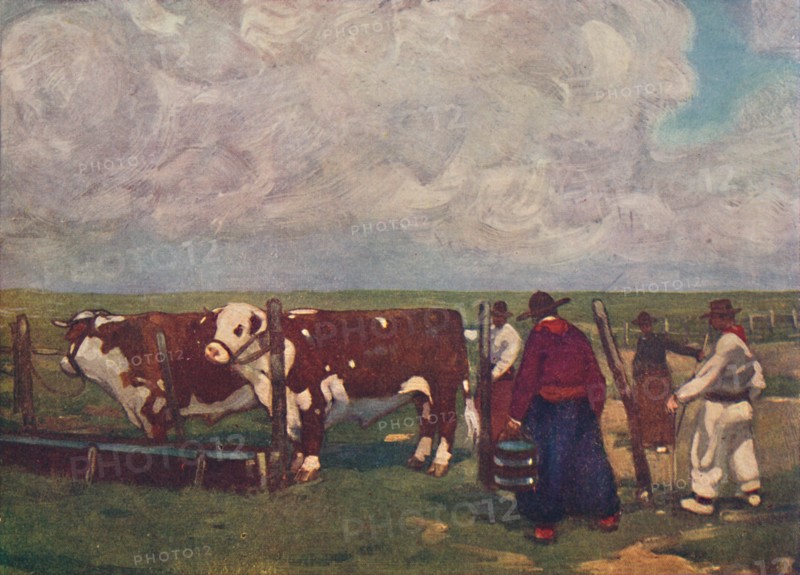 'Pedigree Oxen on a a Lemco Estancia', 1916. Artist: A S Forrest.