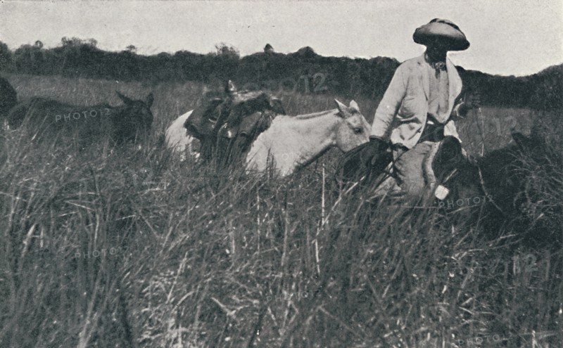 'Travel on the Pampas', 1916. Artist: Unknown.
