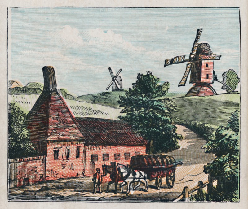 'Ware', c1910. Artist: Unknown.