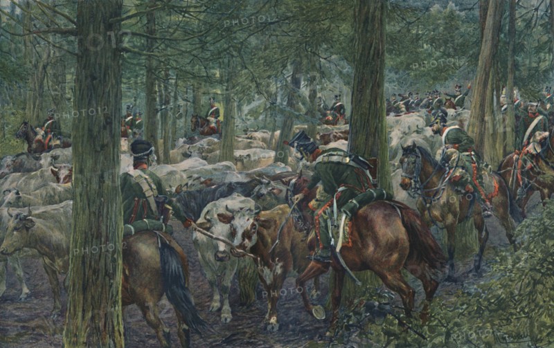 'Marbot's Soldiers Foraging On the Retreat', 1896. Artist: Unknown.