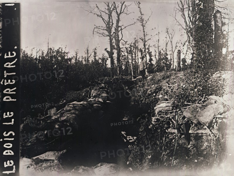 Trenches, Bois-le-Prêtre, Lorraine, northern France, c1914-c1918. Artist: Unknown.