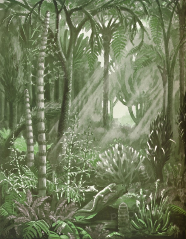 'What the Mighty Coal Forests Were Like', 1935. Artist: Unknown.