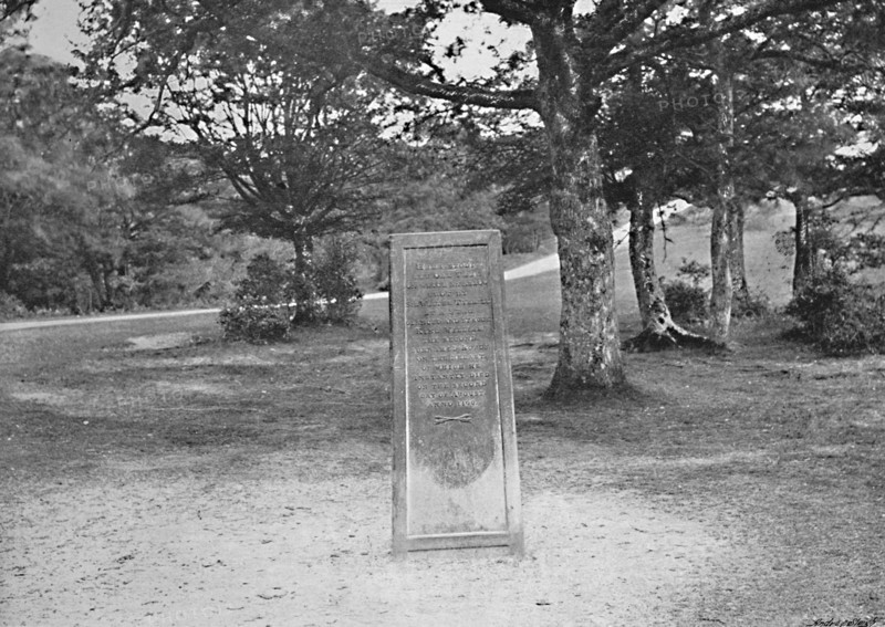 'Rufus Stone, New Forest', c1896. Artist: Poulton & Co.