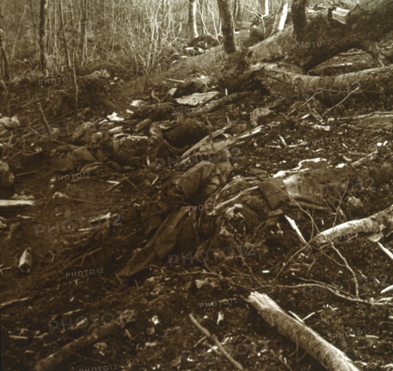 Bodies, Les Éparges, northern France, 1915.  Artist: Unknown.