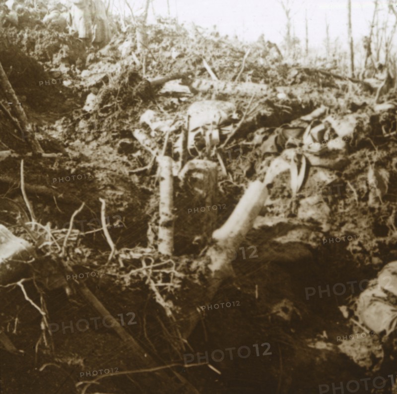 Destroyed shelter, Les Éparges, northern France, 1915.  Artist: Unknown.