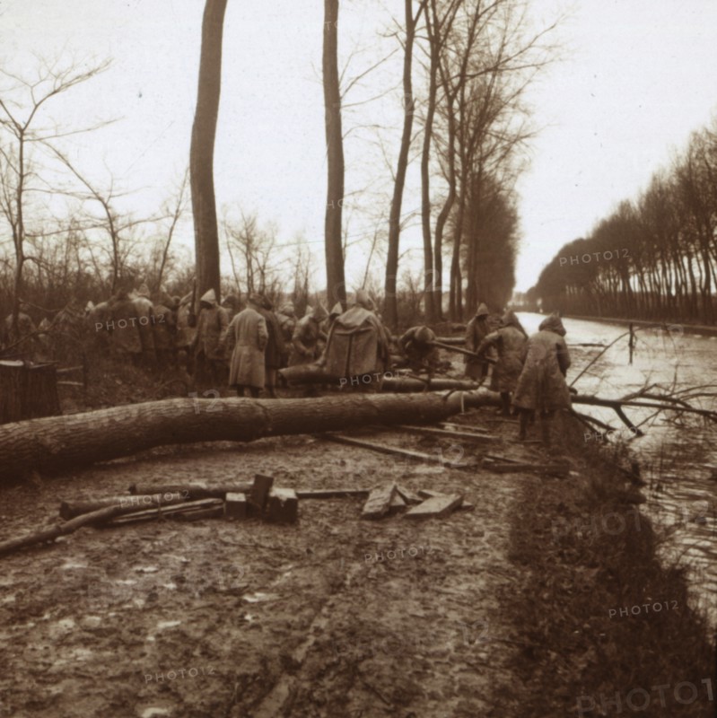 Felling trees, Noyon, northern France, c1914-c1918. Artist: Unknown.