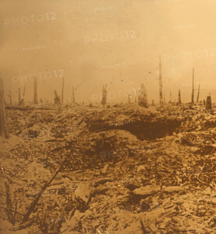 Bois du Chapitre, Vaux, northern France, c1914-c1918. Artist: Unknown.