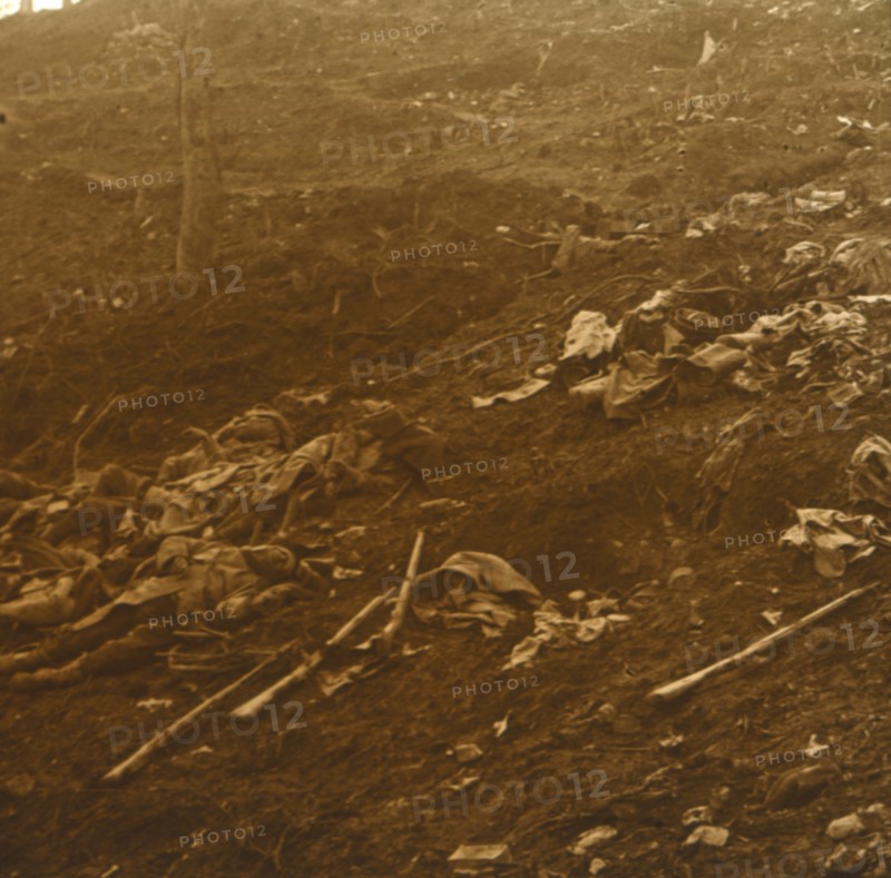 After the attack, Les Éparges, northern France, 1915.  Artist: Unknown.