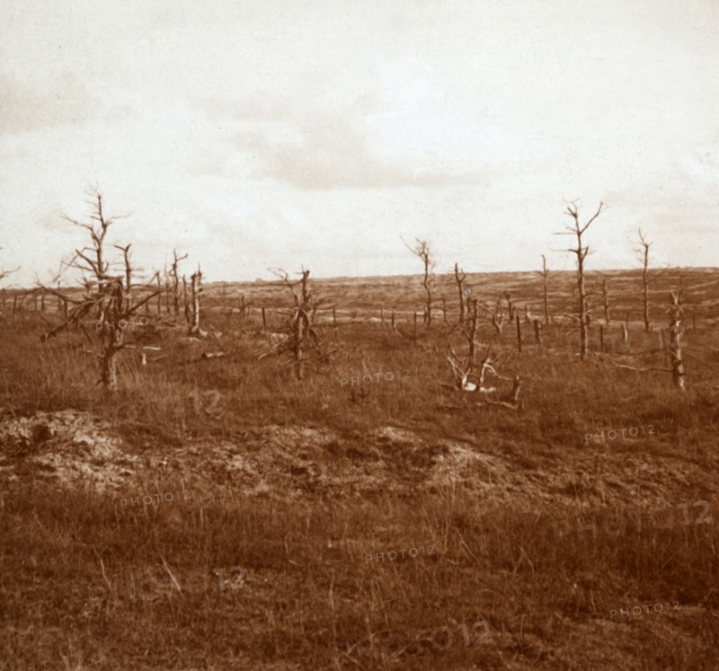 Battlefield, Tahure, northern France, c1914-c1918. Artist: Unknown.