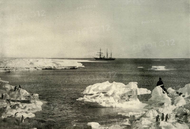 'The Nimrod Lying Off The Penguin Rookery', c1908, (1909).  Artist: Unknown.