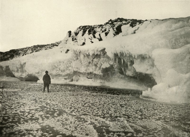 'Ice Flowers on Newly Formed Sea Ice Early in the Winter', c1908, (1909).  Artist: Unknown.