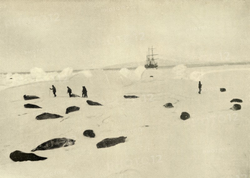 'The Nimrod at Pram Point on March 4, 1909'. Artist: Unknown.
