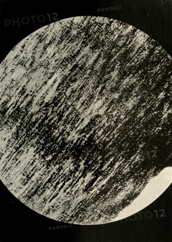 'Fossil Wood in Sandstone, from a Moraine in Latitude 85° South', c1908, (1909).  Artist: Unknown.