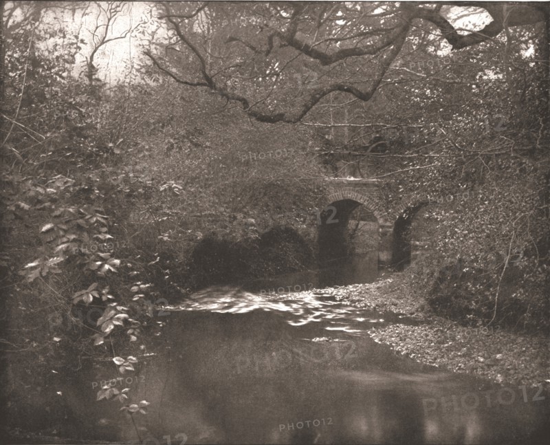 Brook and bridge in the New Forest, Hampshire, 1894. Creator: Unknown.