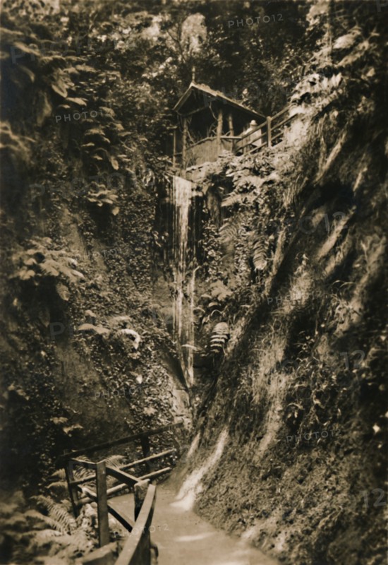 'Shanklin Chine, I.W.', c1920. Creator: Unknown.