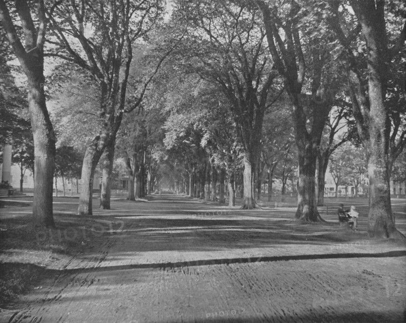 'The Elms', New Haven, Connecticut, USA, c1900.  Creator: Unknown.
