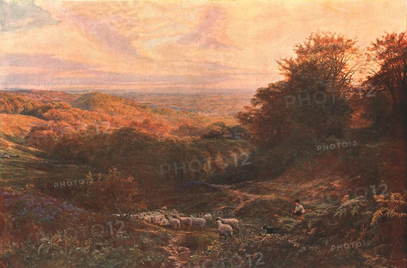 'The Heart of Surrey', 1874, (c1902).   Creator: Unknown.