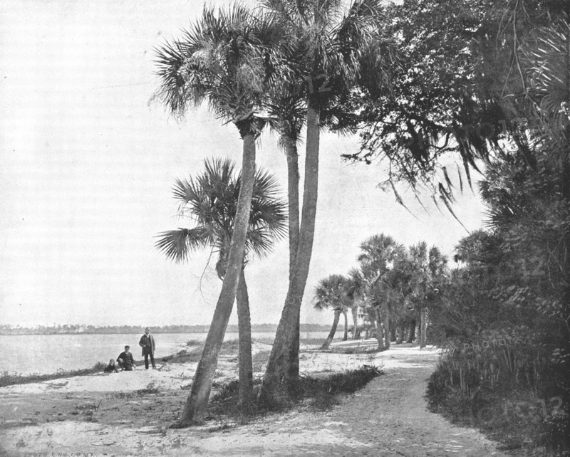 Indian River, Florida, USA, c1900. Creator: Unknown.
