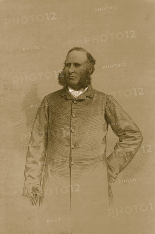 'Mr. Anthony Hamond', 1879. Creator: Vincent Brooks Day & Son.