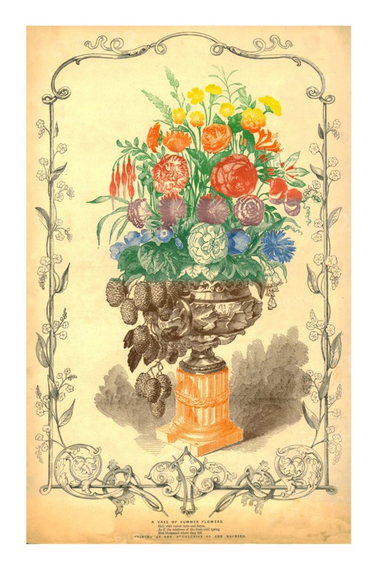 'A Vase of Summer Flowers', 1849.  Creator: Unknown.
