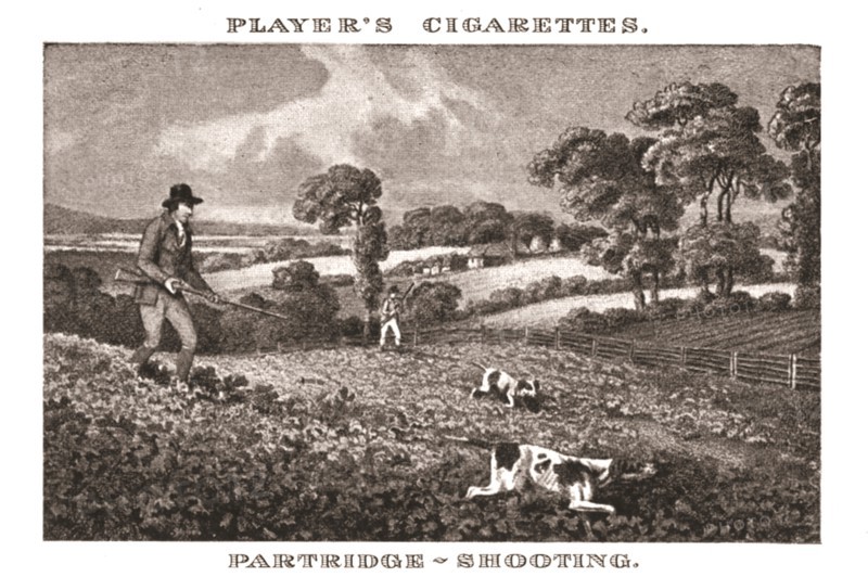 'Partridge-Shooting', (1924). Creator: Unknown.